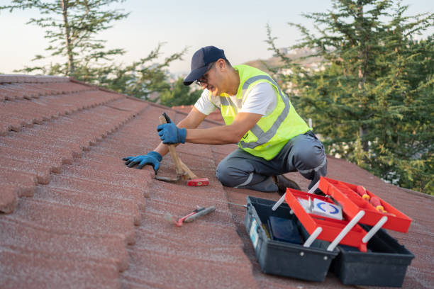 Best Metal Roofing Contractor  in Sackets Harbor, NY